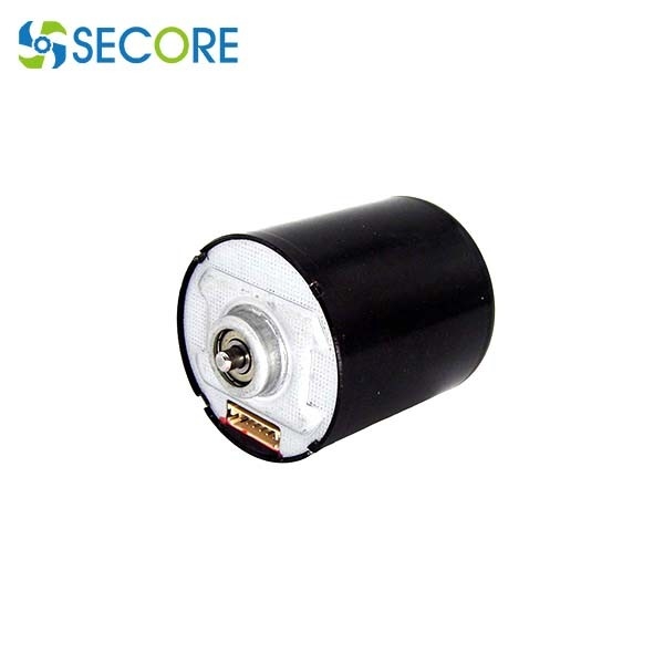 5500RPM High Speed Brushless Motor 3640 4800RPM 12V 24V Brushless Dc Motor 36mm